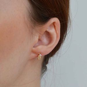 New Gorjana Earrings